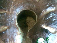 ��������-��������� ����� �����������