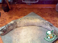 ������������� ���� "�����������" �����������