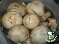 ����� "��������" �����������