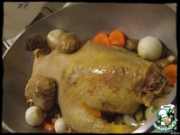 �����-������� ���� �� ��������� ����� �����������