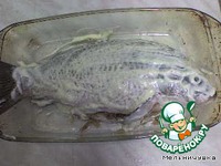 ���� ���������� �����������