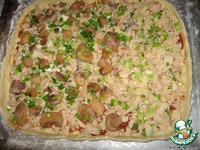 ����� � ����� �����������