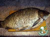 ���� ��-���������������� �����������