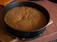 ���������� ���� "������ �����" �����������