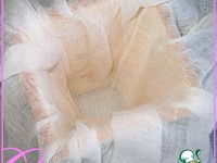 ����� ��������� ��� ����� �����������