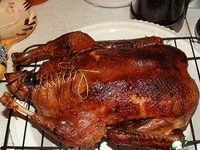 ���� � ���������� �����������