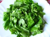 ����� � ������� ����� � �������� �����������