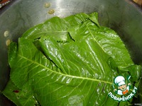 �������� ����������� �����������