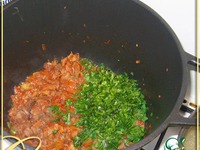 ����� �����������