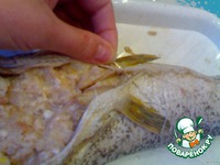 ������������� ���� "�����������" �����������