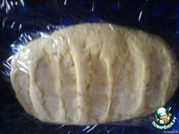 ���� �������� "��������" �����������