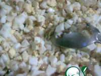 ������������ �������� �����������