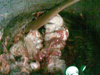 ���� �� ������� �����������