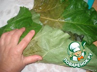 �������� ����������� "�������� ���" �����������