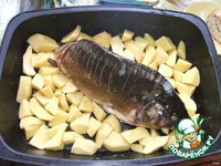 ���� "�����������" �����������