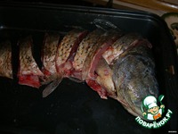 ����, ���������� � ������� �����������