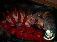 ����, ���������� � ������� �����������