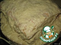 ���� "�����" �����������