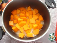 ������ ���� - ���� � ������ �����������