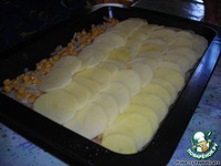 ��������� �� ������ �����������