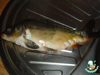 ������������� ���� � ��������� �����������