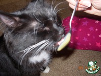 ���� ���������� �����������