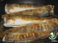 ������� ���� �����������