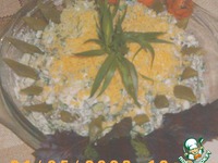 ����� �� ������� ���������� ������ �����������