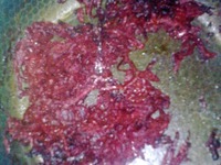 ���� � ������������� �����������