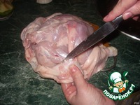 ������� ����� "����" �����������