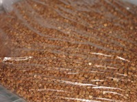 ����-���� �����������