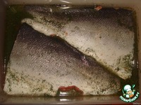 ������ ���� � ���� ��������� "������" �����������