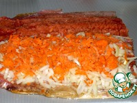 ������������� ���� �����������