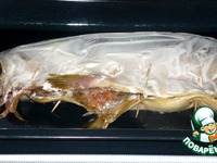 ������������� ���� �����������