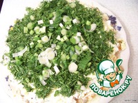 ����� "����������" �����������