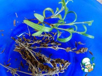 ������ ������� ��� ������� �����������