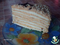 ���� "�����������" �����������