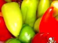 �������� ������ ��� ����� �����������