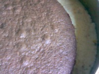 ������ ���� "������ ������" �����������