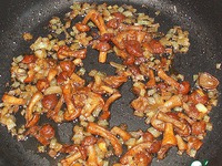 ������� ��� �����������