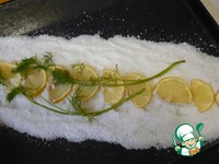 ������ �� ������� ������� �����������