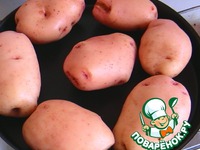 ������������� �������� �����������