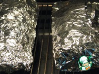 ���������� ������ �����������