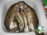 ������������� ����� �����������