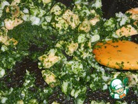 ������������� ����� �����������