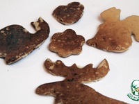 ��������������� ������ �����������