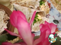 ������ ����� �����������