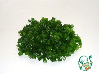 ������ � ����������� ����� �����������