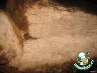 ���������� �������� �� ������� ������� �����������