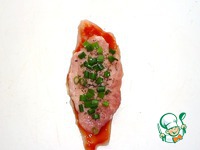 ������ � ����������� ����� �����������